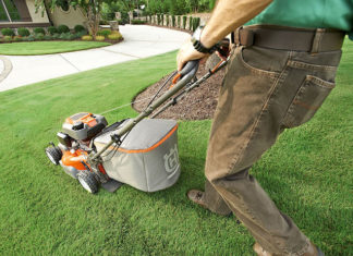 Artykuły, które pomogą Ci zadbać o swój ogród