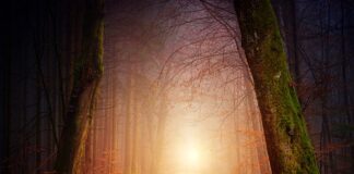 Jakie oświetlenie w pokoju na poddaszu?