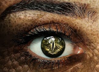 Czym smarować łuski? Czym smarować łuski?