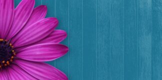 Jak pomieścić gości przy stole?