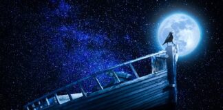 Jaka podstawa do parasola ogrodowego?