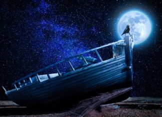 Jaka podstawa do parasola ogrodowego? Jaka podstawa do parasola ogrodowego?