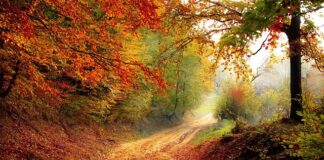 W którym roku wymyślono Suwmiarkę?