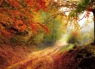 W którym roku wymyślono Suwmiarkę? W którym roku wymyślono Suwmiarkę?