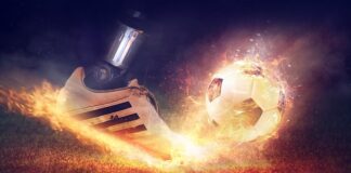 Ile się bierze za cięcie drewna?