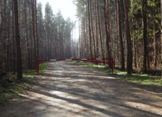 Jak otworzyć szlaban bez pilota? Jak otworzyć szlaban bez pilota?