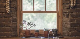 Jak działa czosnek na storczyki?