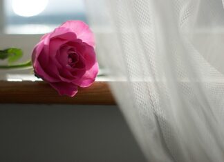 Jakie firanki do szarych ścian?