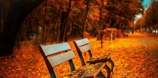 Gdzie kupić ławki do ogrodu?