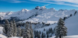 Co zrobić gdy puch w kurtce się zbije?