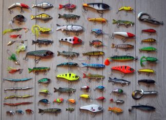 Jak zrobić wabik na pszczoły? Jak zrobić wabik na pszczoły?