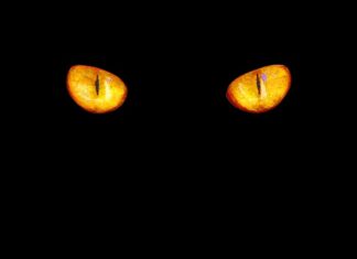 Jaka barwa światła najzdrowsza?