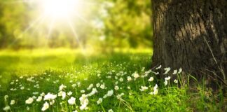 Jakie to jest światło stroboskopowe?