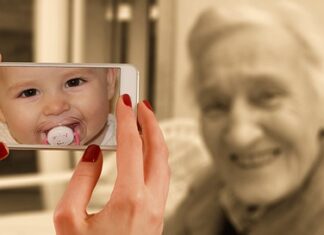 Jaka jest różnica między Storczykiem a orchidea? Jaka jest różnica między Storczykiem a orchidea?