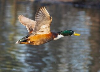Jaki Gebert do małej łazienki? Jaki Gebert do małej łazienki?