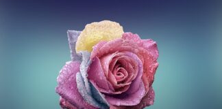 Czym się różni spot od Beam?