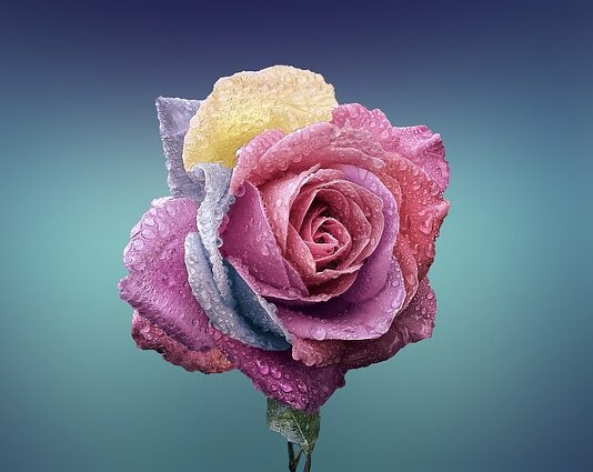 Czym się różni spot od Beam?