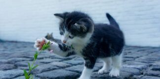 Co będzie drogie w 2023?