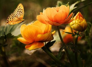 Czy pracodawca może zmusić pracownika do mycia okien? Czy pracodawca może zmusić pracownika do mycia okien?