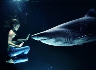 Gdzie przy stole siedzi gospodarz? Gdzie przy stole siedzi gospodarz?