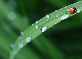 Dlaczego pościel po praniu śmierdzi? Dlaczego pościel po praniu śmierdzi?