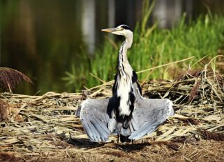 Jaki znak nie suszyć w suszarce? Jaki znak nie suszyć w suszarce?