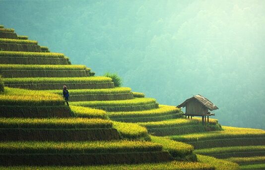 Co postawić na tarasie?