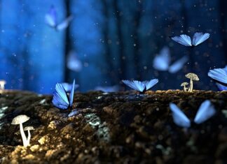 Czym zabezpieczyć drewno na ławkę?