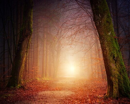 Jakie oświetlenie dla DJ?