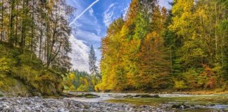 Jak usunąć przebarwienia na desce do krojenia?