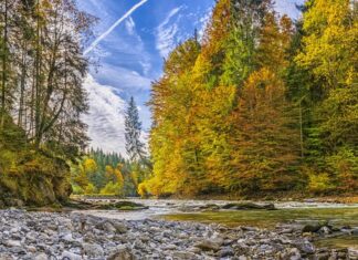 Jak usunąć przebarwienia na desce do krojenia?