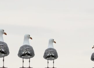 Kiedy można sadzać dziecko z podparciem?