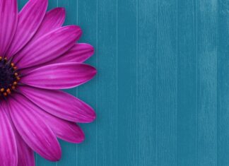 Ile miejsca dla gości przy stole?