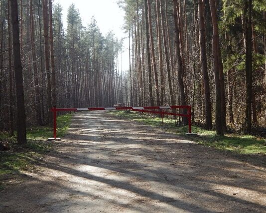 Jaka karta sim do szlabanu?