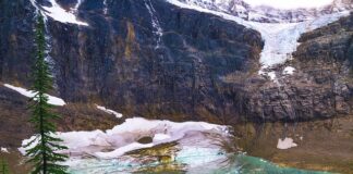 Ile biorą z metra za ocieplenie domu?