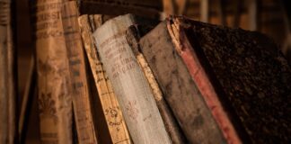 Jak odmłodzić stare storczyki?