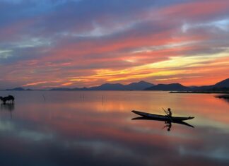 Co to znaczy łowić na metodę? Co to znaczy łowić na metodę?
