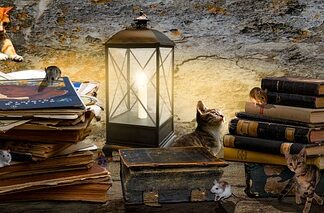 Co ile wieszaki na poddaszu?