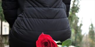 Czy na światłach w lewo można zawracać? Czy na światłach w lewo można zawracać?