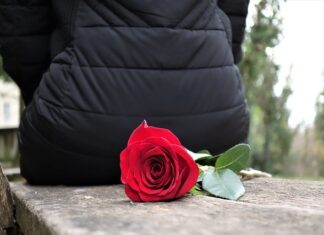 Czy na światłach w lewo można zawracać? Czy na światłach w lewo można zawracać?