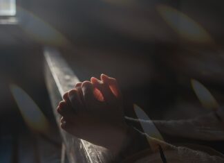 Jak daleko leci pszczoła od ula? Jak daleko leci pszczoła od ula?