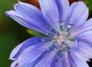 Jaki zamiennik Trip Trap? Jaki zamiennik Trip Trap?