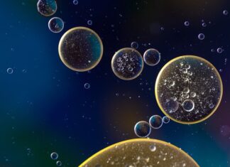 Po czym poznać że w wodzie jest karp? Po czym poznać że w wodzie jest karp?