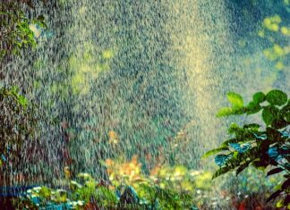 Jak obliczyć ilość zraszaczy na sekcje?