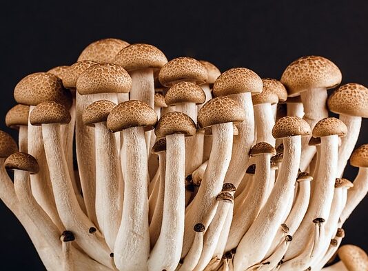 Ile miejsca potrzeba na jadalnie?