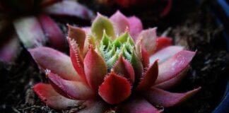 Do jakiej grubości styropian ma sens?