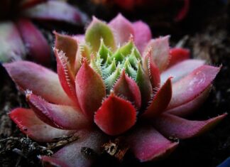 Do jakiej grubości styropian ma sens? Do jakiej grubości styropian ma sens?