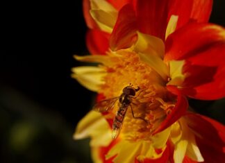 Jakie profile do sufitów podwieszanych?