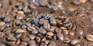 Gdzie wylewać fusy od kawy?