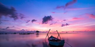 Jaki kolor do sypialni 2023?